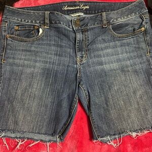 American Eagle Outfitters Blue Jean Shorts